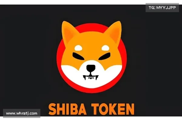 V神遭设局烧毁400兆枚柴犬币，提案鬼才承认：创造SHIB前就想利用Vitalik burn